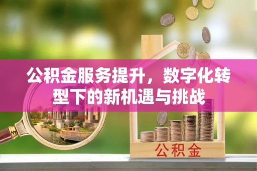 鸡冠公积金服务提升，数字化转型下的新机遇与挑战