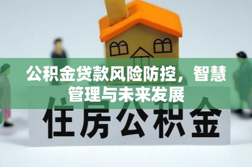 鸡冠公积金贷款风险防控，智慧管理与未来发展